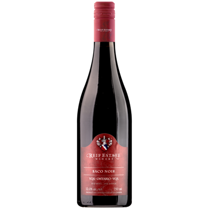 Picture of Baco Noir 2023