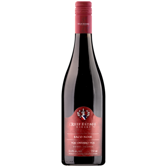 Picture of Baco Noir 2023