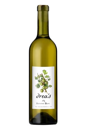 Picture of Drea's Sauvignon Blanc 2023